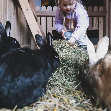 Szálloda Ellmauhof - Generationenresort