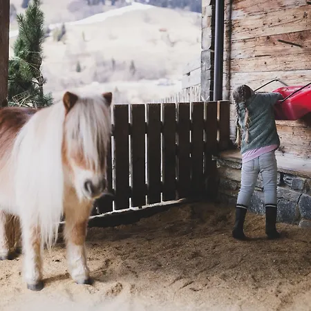 Ellmauhof - Generationenresort فندق