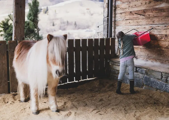 Ellmauhof - Generationenresort Hotel