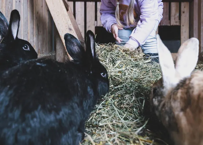 Hotel Ellmauhof - Generationenresort